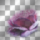 flower  ||♥♥anna25marco♥♥||