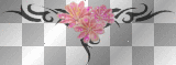 ➸♥ (Bj) Animated divider "Spring & Flowers"