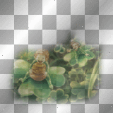 Background-BT