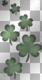 Green Clovers - St. Patrick's Day