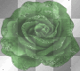 Green Glitter Rose - TracyMcGibbon