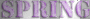 WIOSNA SPRING TEXT TRANSPARENT PURPLE