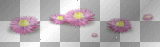WIOSNA SPRING SUMMER FLOWER PINK