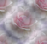 fondo rossi_61
