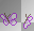 ➸♥ (Bj) Animated purple butterfly