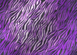Purple Background