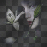 goth 