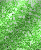 Rectangle Glitter BG~Green