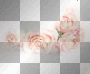 flower ||♥♥anna25marco♥♥|| flower ||♥♥anna25marco♥♥||