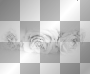 flower  ||♥♥anna25marco♥♥|| 
