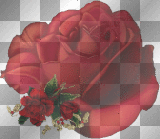PISONILLA ROSA ROJA