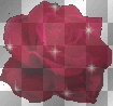 PISONILLA ROSA FUCSIA