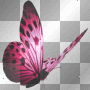 Butterfly - tresellea