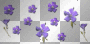 (bj) blue flowers rain spring pluie fleurs bleu printemps :)