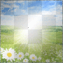 TAPETY BACKGROUND GLITTER SPRING FLOWER YELLOW TAPETY BACKGROUND GLITTER SPRING FLOWER YELLOW