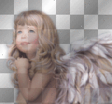 angel rossi_61
