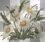 flores y floreros  rossi_61