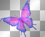 Schmetterling