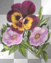 deco fleurs violette transparent printemps -c
