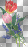 deco fleurs tulipe printemps -c