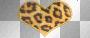 Cheetah heart