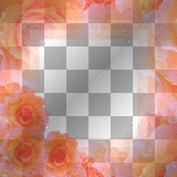 Nenaio Png Transparent Spring Frame Deco Border Background vintage floral flower flowers rose roses pink red orange