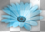 Blue Flower