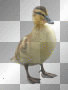 DUCK SPRING SUMMER EASTER BACKGROUND TRANSPARENT