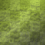 grass
