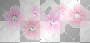 pink_flower_divider