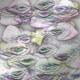 Background Animated***FI