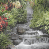 Waterfall animated fantasy garden landscape jungle spring summer
