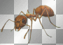 Ant insect fantasy animals gothic transparent Ant insect fantasy animals gothic transparent
