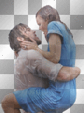 The Notebook - TracyMcGibbon