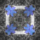 Nenaio Gif Kaleidoscope Effect Background Blue Black And WHite Grey 