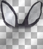 Black Bunny Ears