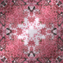 Nenaio Abstract Kaleidoscope effect Background Gif Spring Floral Flower Flowers Pink WHite brown black frame border corner deco