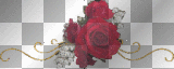 glitter red rose, dubravka