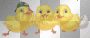 yellow chick, chicks glitter easter @jb