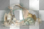 .Summer deco =MadeByMe=. .Summer deco =MadeByMe=.