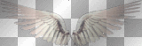 angel rossi_61