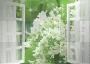 TAPETY BACKGROUND GLITTER ANIMATED SPRING GREEN