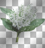 muguet