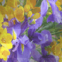 Spring summer flowers background animated