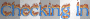 chekin fire