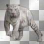 Tiger fantasy animals jungle background transparent Tiger fantasy animals jungle background transparent