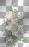 deco fleurs rose blanche transparent -c