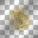 deco fleurs rose jaune transparent -c