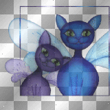 funny angel cat-kitten wings, chat ange ailes anime ²u