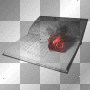book with flower red white black book with flower red white black